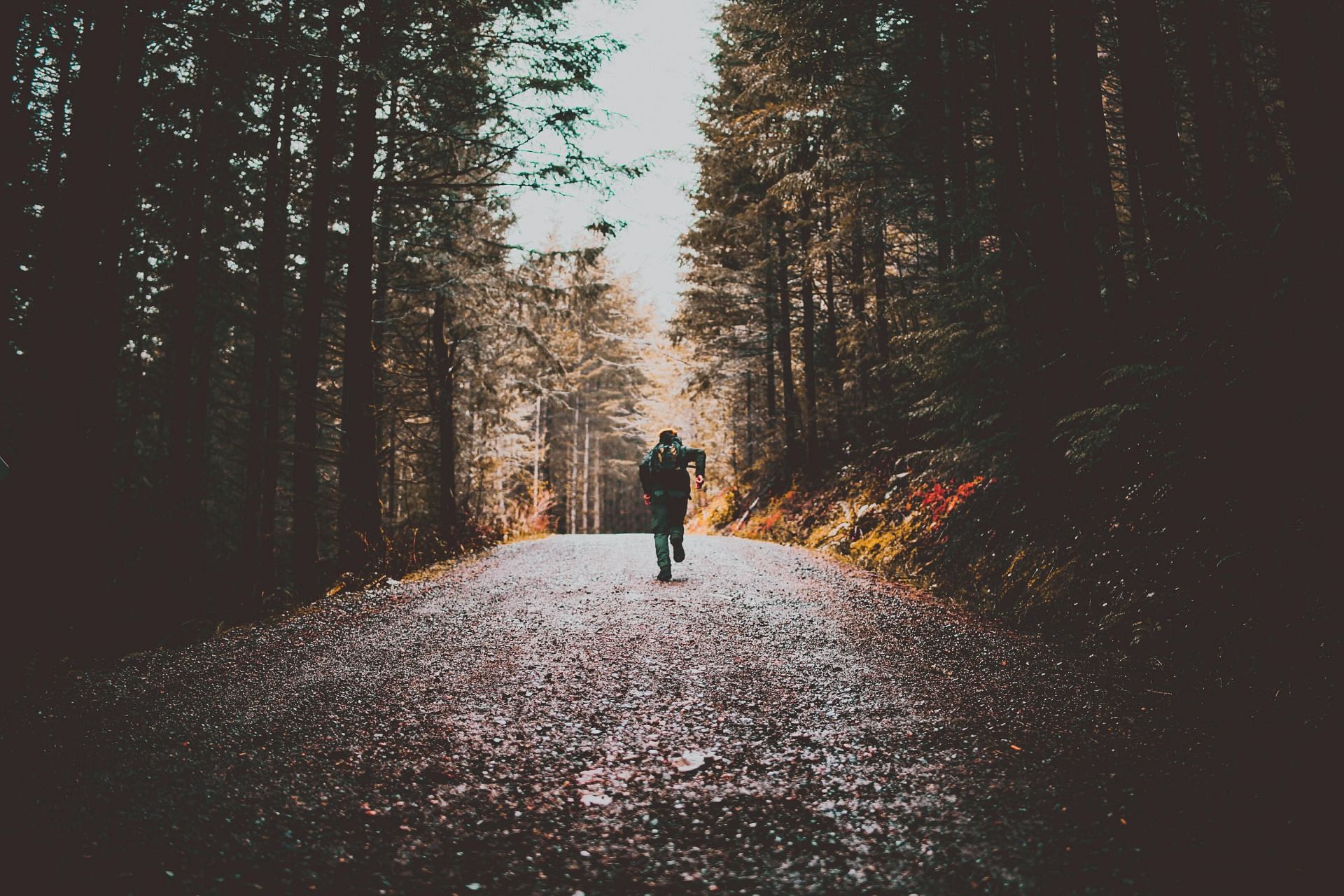 Tips to avoid runner's diarrhea (image sourced via Pexels / Photo by chris)